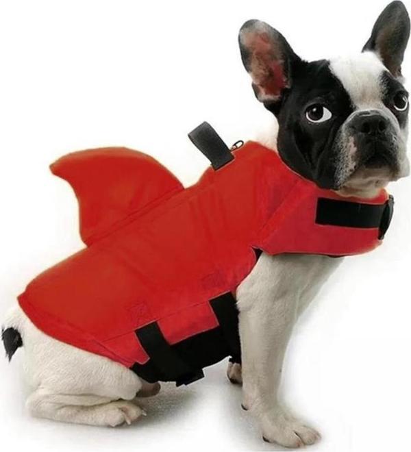 Lionpet Shark Köpek Can Yeleği XL - Image 1