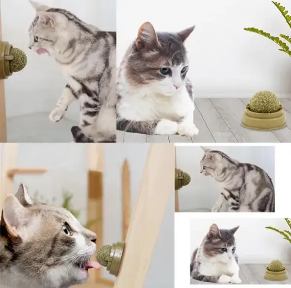 Kedi Nanesi Oyun Topu - Image 1