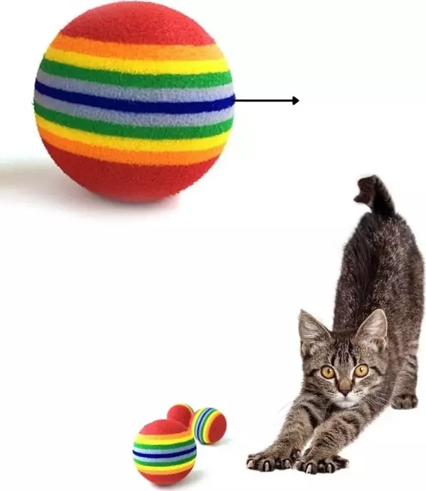Sünger Kedi Köpek Çiğneme Ve Oyun Topu 4 Adet - Image 1