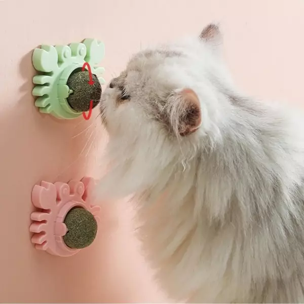 Yengeç Kedi Otu Oyun Topu - Image 1