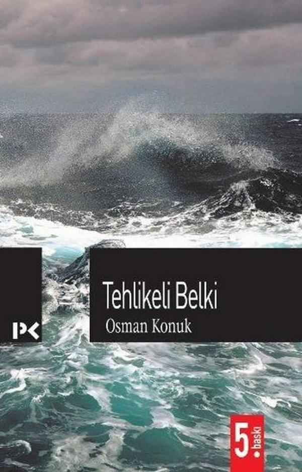 Tehlikeli Belki - Profil Kitap Yayınevi - Image 1