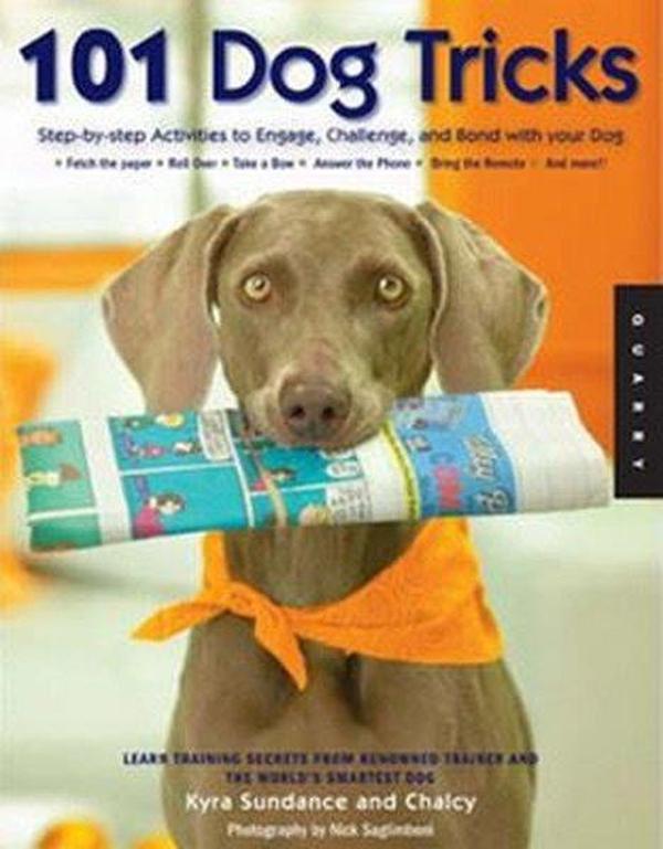 101 Dog Tricks: Step-by-Step Activities to Engage Challenge and Bond with Your Dog - Rockport Publishers - Image 1