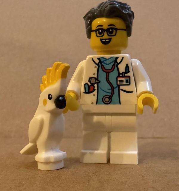 Orjinal Lego Minifigür Doctor with Parrot - Image 1