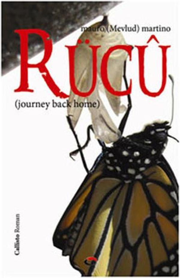 Rücu - Callisto Kitap - Image 1