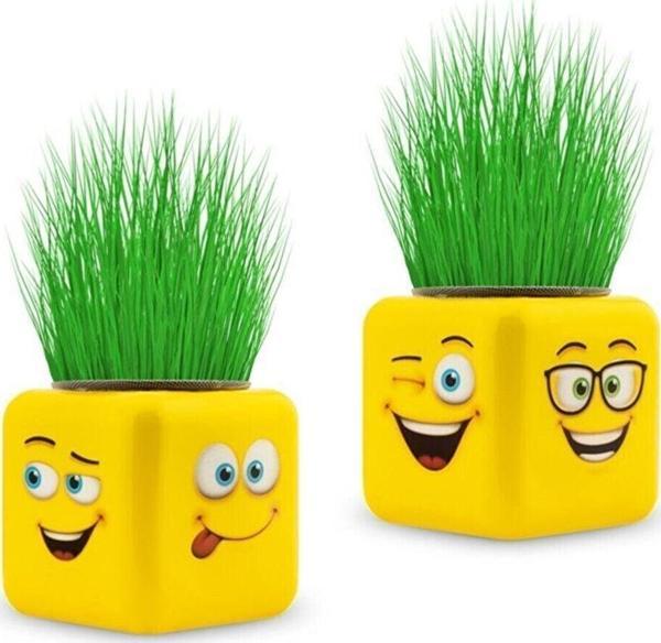 Büro Ev Ofis Hediyesi için 4 Figürlü Çimoji Emoji Küp Çim Adam - Image 1