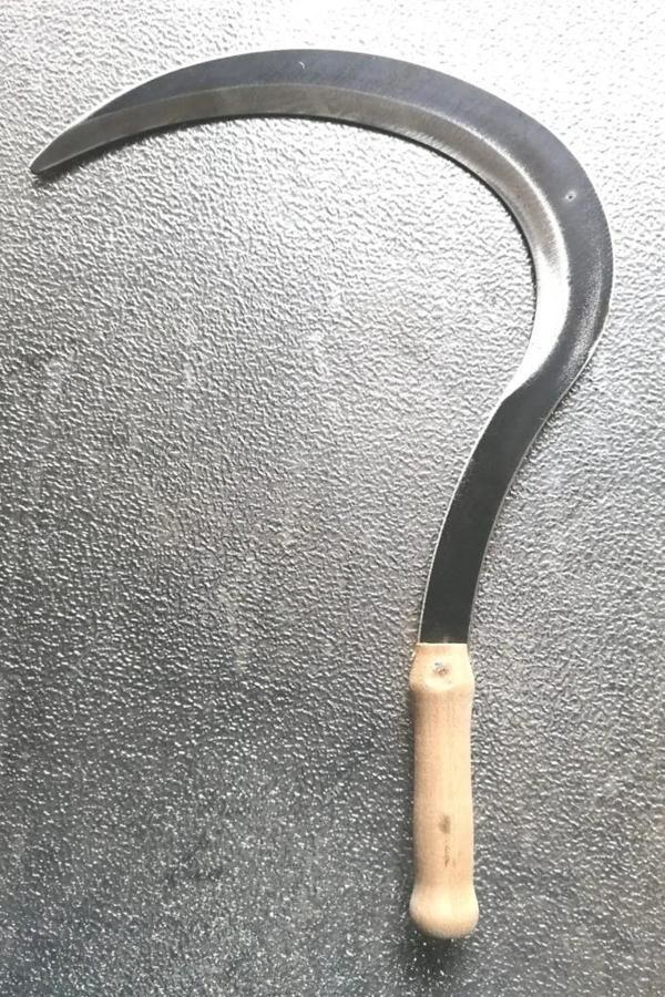 42CM Büyük Ahşap Saplı Ege Tipi Orak - Image 1
