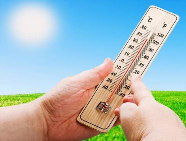 Büro Ev Konforu için Ortam Isısı Ölçer Ahşap Termometre - Image 1