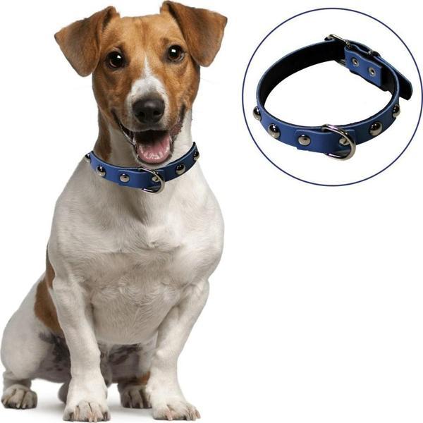 Yumuşak Dokulu Deri Köpek Gezdirme Boyun Tasması (Large)  GO50602930670 - Image 1