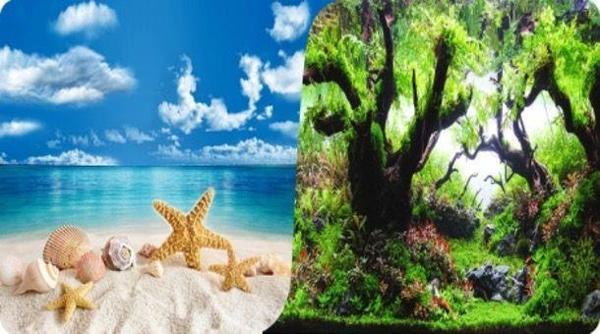 Akvaryum Arka Fon 3 Boyutlu Manzara Çift Taraflı Deniz ve Bitki 60cm 1metre - Image 1