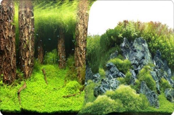 Akvaryum Arka Fon 3 Boyutlu Manzara Çift Taraflı Yosun ve Kaya Yosun 60cm 1metre - Image 1
