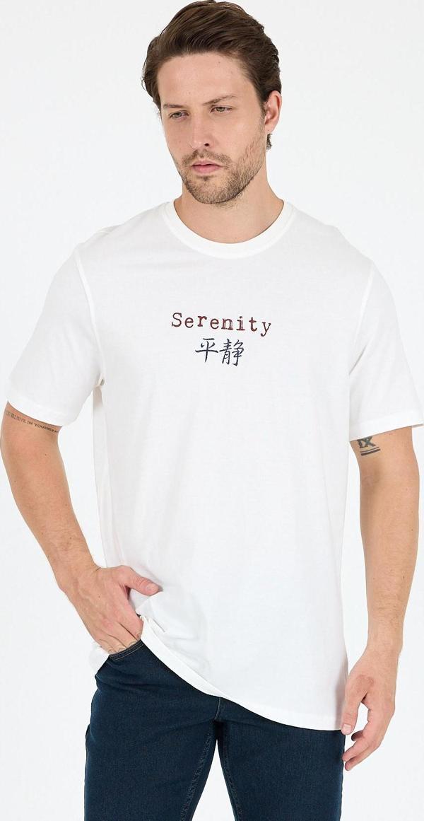 %100 Pamuk Bisiklet Yaka Baskılı Rahat Kesim, Nefes Alabilir Kumaş Erkek Tişört Basic Tişört 0104 - Image 1