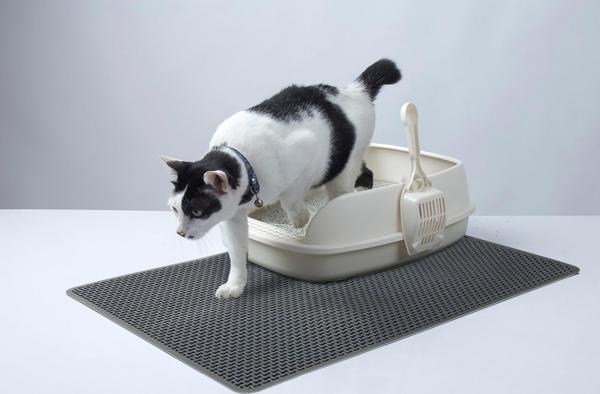 65*45 Kedi Kumu Paspası Elekli Kedi Tuvalet Paspası Özel Tasarım - Image 1