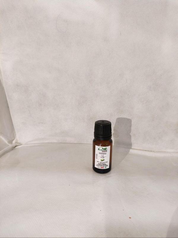 Beslenme Dedektifi Okaliptus Yağı 10 Ml - Image 1