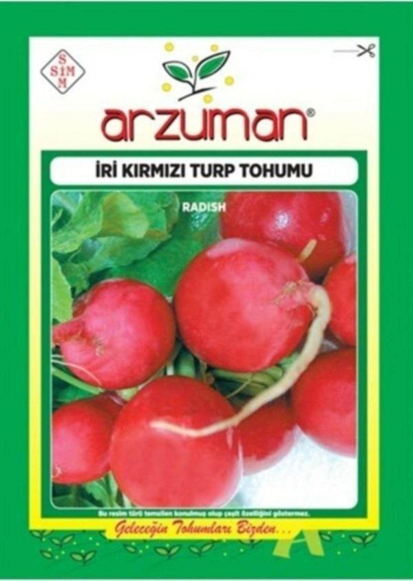 Arzuman Tohum Iri Kırmızı Turp Tohumu - Image 1