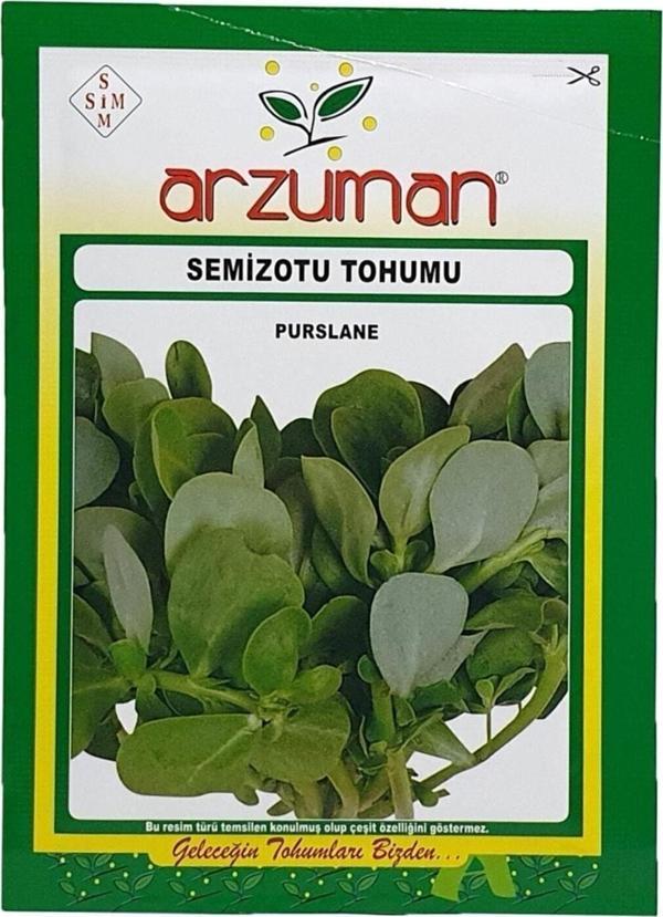 Arzuman Tohum Semiz Otu Tohumu - Image 1