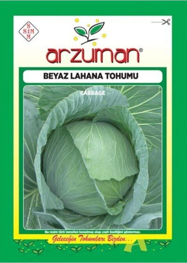 Arzuman Tohum Beyaz Lahana Tohumu - Image 1
