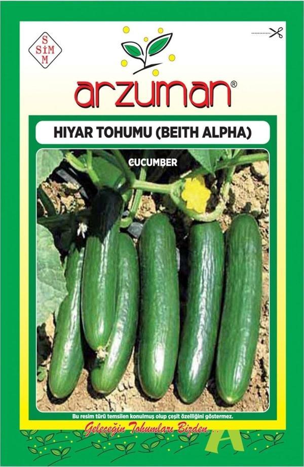 Arzuman Tohum Hıyar Tohumu (Beıth Alpha) - Image 1