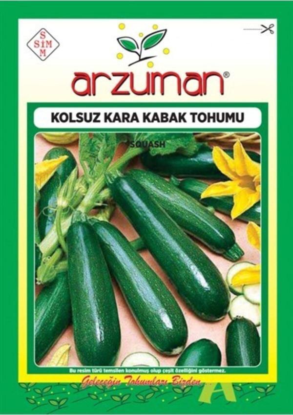 Arzuman Tohum Kabak Tohumu - Image 1