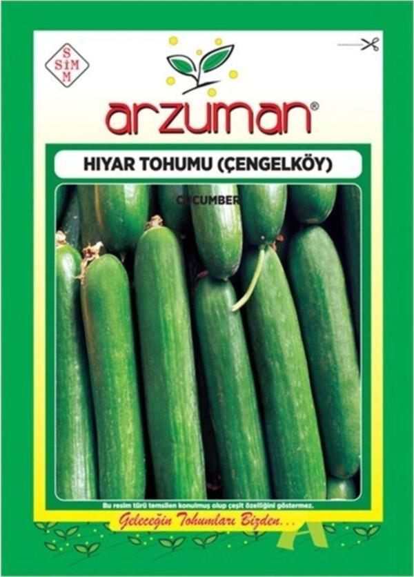 Arzuman Tohum Hıyar Tohumu (Çengel Köy) - Image 1