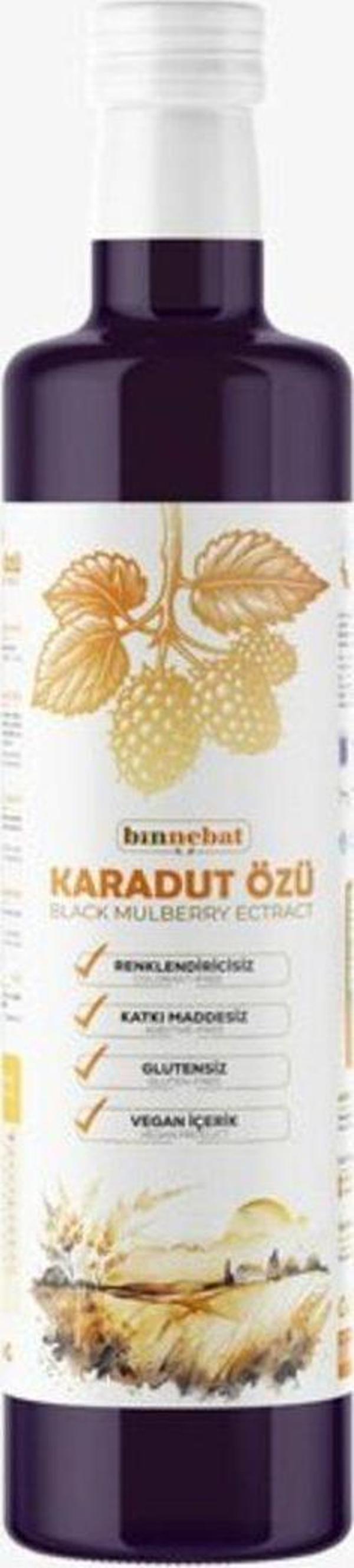 Binnebat Karadut Özü 700 Gr - Image 1