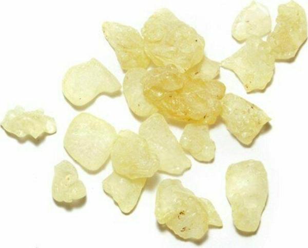 Beslenme Dedektifi Damla Sakızı (10 Gr) - Image 1