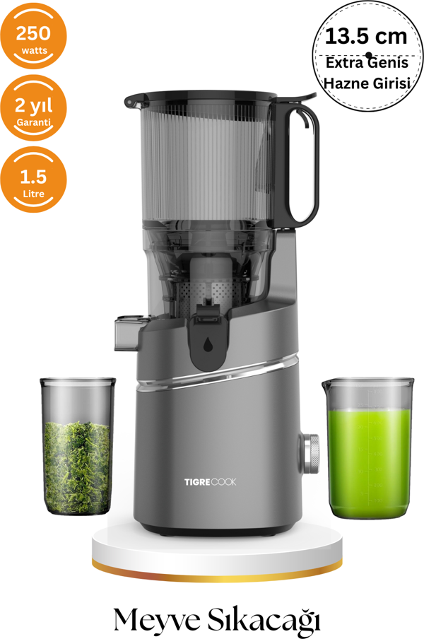 Slow Juicer Yavaş Sıkım Katı Meyve Sıkacağı Sorbe ve dondurma - Image 1