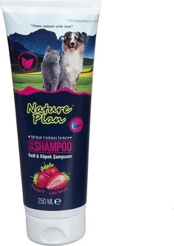 Nature Plan Tüp Şampuan Çilek 250 Ml - Image 1