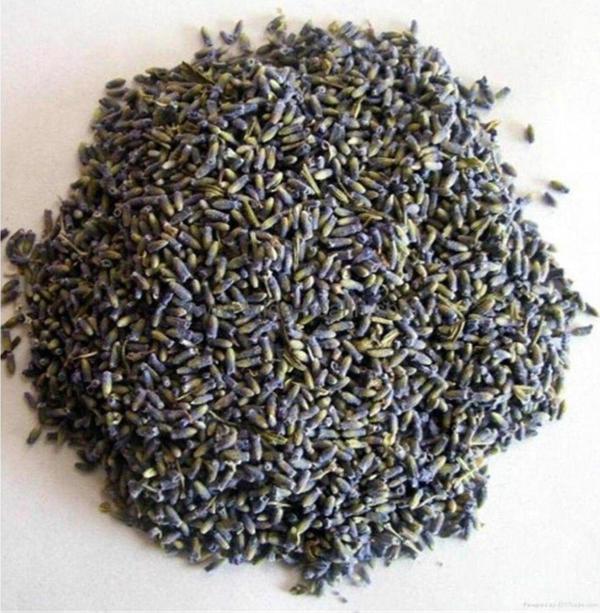 Mimoza Biorganix Yoğun Kokulu Yeni Mahsül Lavanta Çiçeği Kurusu 500 Gr - Image 1