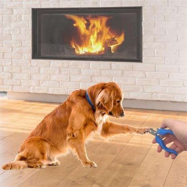 Büro Ev Evcil Hayvanı için Yaylı Çelik Kedi Köpek Tınak Düzeltme Makası - Image 1