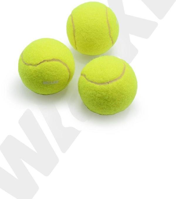 Walke Başlangıç Seviye Antrenman İçin 3 Adet Tenis Topu - Image 1