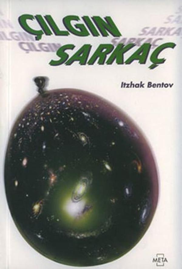 Çılgın Sarkaç - Meta Yayınları - Image 1