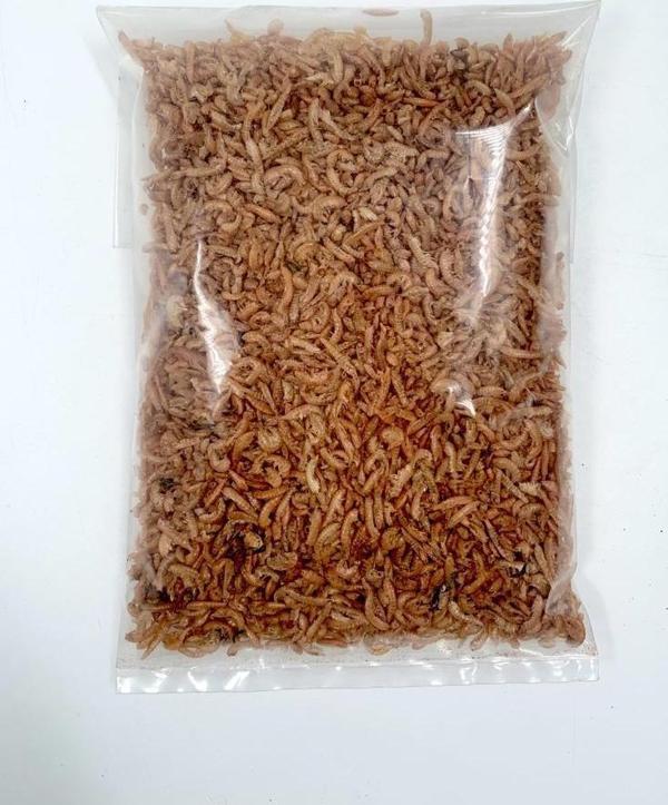 25 GR Gammarus Karides Kaplumbağa Yemi - Image 1