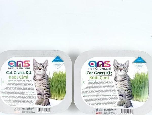 Kedi Çimi 2 adet - Image 1