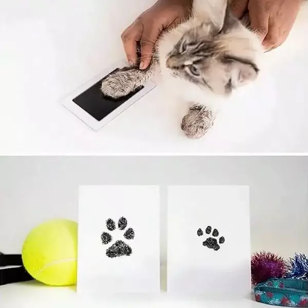 Kedi Köpek Pati İzi Fotoğraf Çerçevesi Seti - Image 1