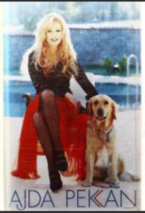 Ajda Pekkan - Eğlen Güzelim Kaset - Image 1