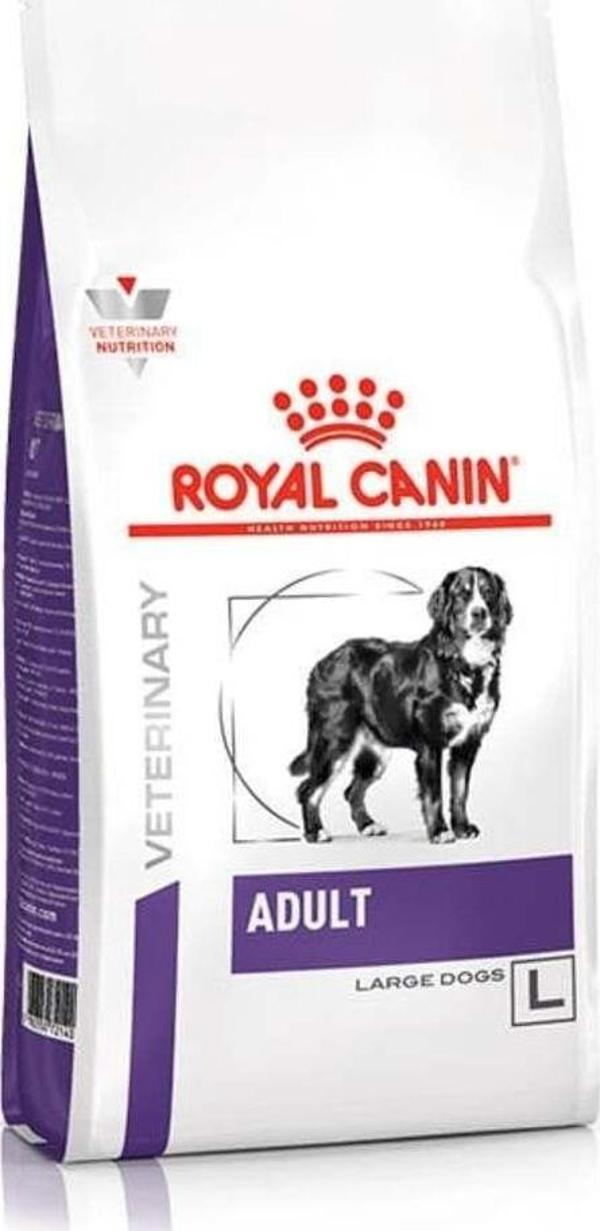 Royal canin   Adult L Büyük Irk Köpek Kuru Maması 13 Kg - Image 1