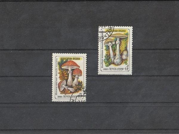 Escoines Koleksiyon 39963682a45c677bb5 1986 damgalı bitki temalı cccp pulları - Image 1