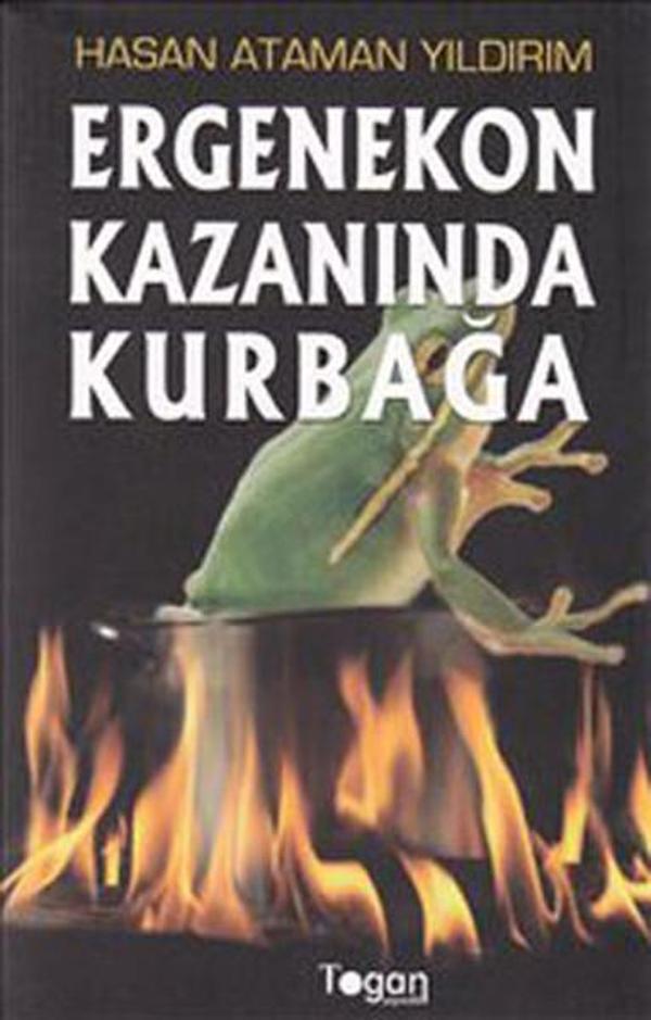 Ergenekon Kazanında Kurbağa - Togan - Image 1