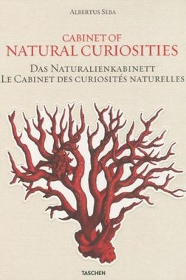 Albertus Seba: Cabinet Of Natural Curioties - Taschen - Image 1