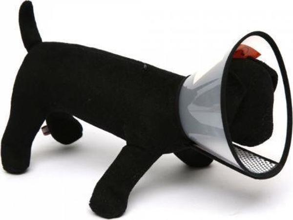 Nunbell Elizabeth Yakalık 2XS Boynu 15-17cm Olan Köpekler /11cm Genişlik - Image 1