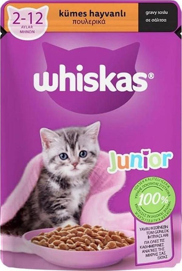 Whiskas Pouch Tavuklu Yavru Kedi Maması 85 gr - Image 1