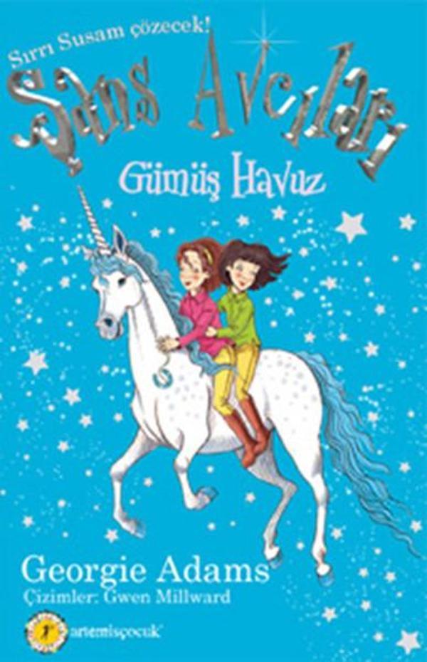 Şans Avcıları 2. Kitap - Gümüş Havuz - Artemis Yayınları - Image 1