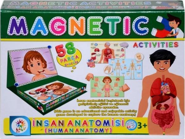 Laço Manyetik Aktiviteler – İnsan Anatomisi, 3+ Yaş Eğitici Set - Image 1