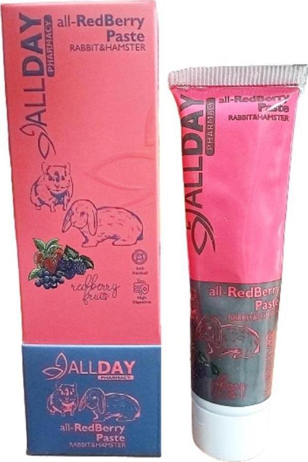 AllDay All Redberry Tavşan Hamster Multivitamin Paste 100gr - Image 1