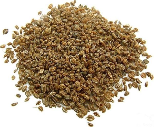 Eymen Kuruyemiş Kereviz Tohumu 1 Kg - Image 1