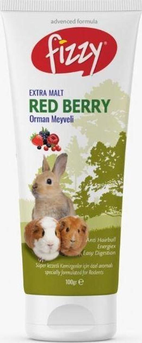 Fizzy Kemirgen Red Berry Paste 100gr - Image 1