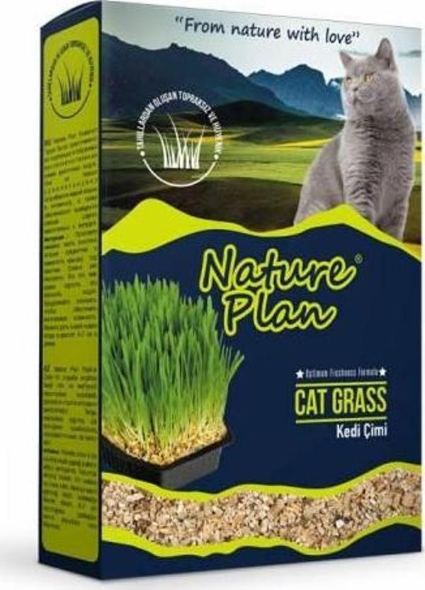 Nature Plan Kedi Çimi 500 ml - Image 1