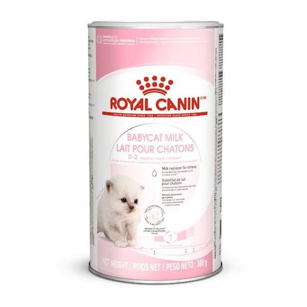 Royal Canin Yavru Kediler için Süt İkame Maması 300g - Image 1