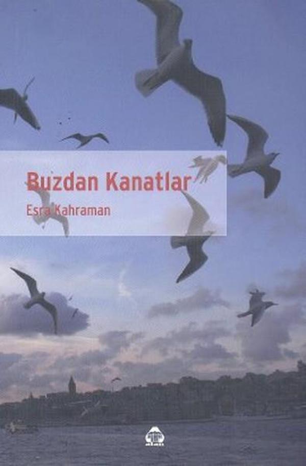 Buzdan Kanatlar - Yeni Alan Yayıncılık - Image 1