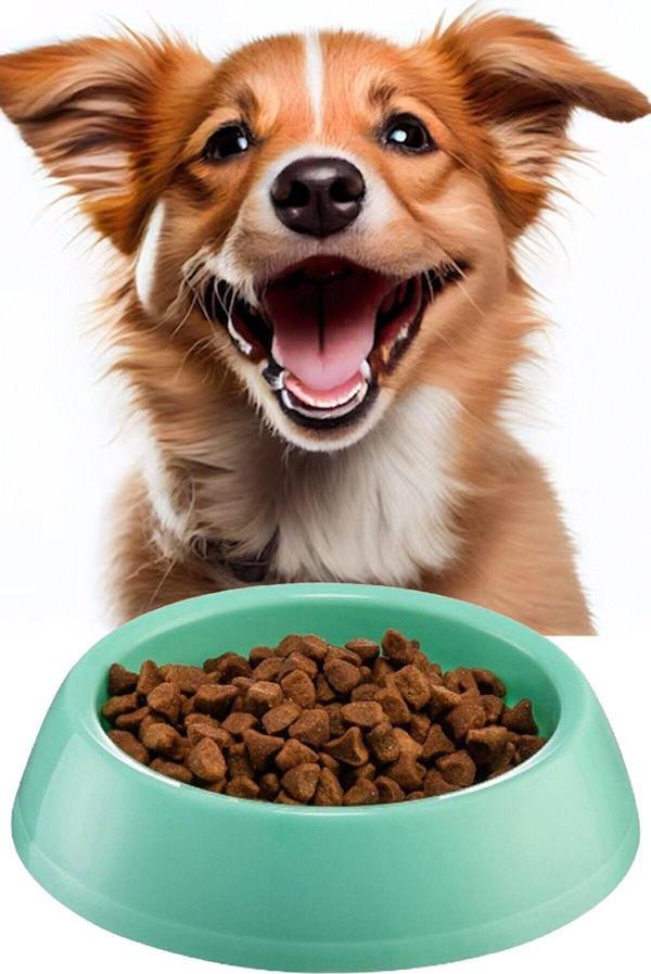 Mobee Küçük Boy Mama Kabı Su Kabı Evcil Hayvan Kedi Köpek Mama Kabı Çok Renkli 14Cm Çap 1450 - Image 1